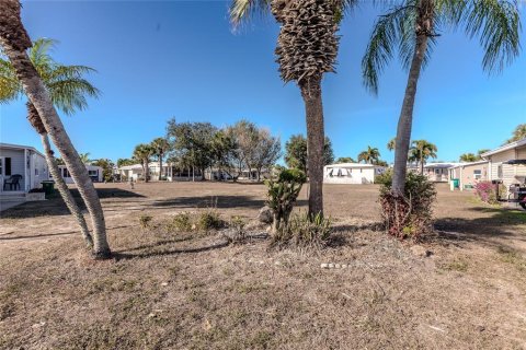Land in Port Charlotte, Florida № 2108920 - photo 5
