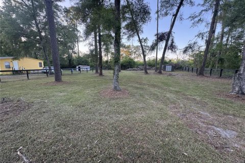 Terrain à vendre à Ocala, Floride № 2159407 - photo 4