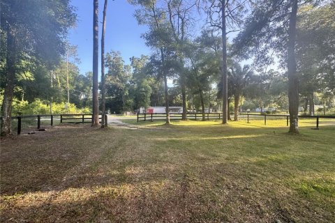Terrain à Ocala, Floride № 2159407