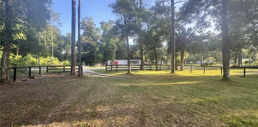 Terrain à Ocala, Floride № 2159407