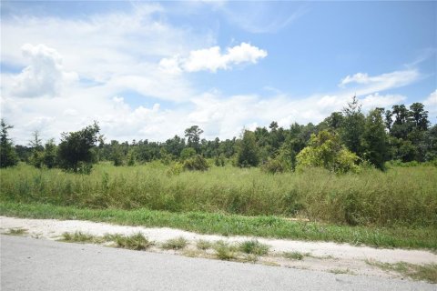 Land in Lakeland, Florida № 1841874 - photo 9