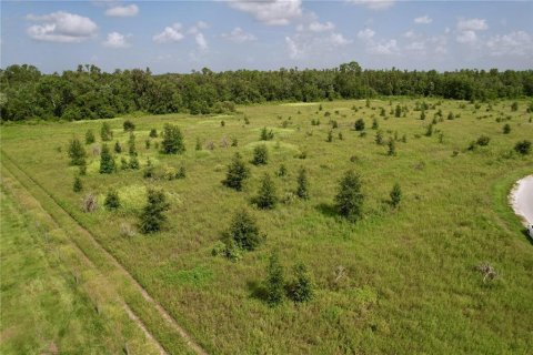 Land in Lakeland, Florida № 1841874 - photo 12