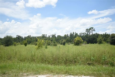 Land in Lakeland, Florida № 1841874 - photo 6