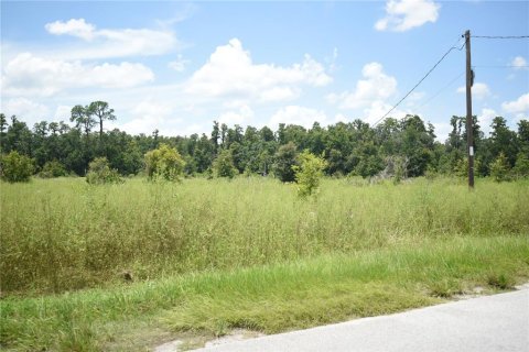Land in Lakeland, Florida № 1841874 - photo 5
