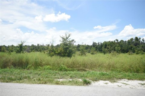 Land in Lakeland, Florida № 1841874 - photo 7
