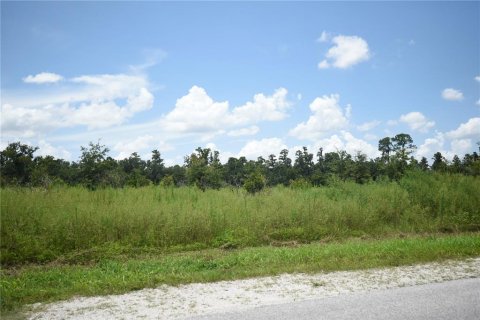 Land in Lakeland, Florida № 1841874 - photo 2