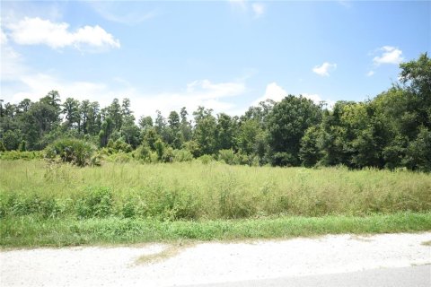 Land in Lakeland, Florida № 1841874 - photo 11