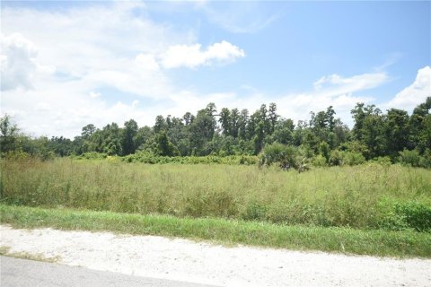 Land in Lakeland, Florida № 1841874 - photo 10