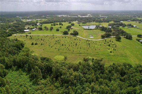 Land in Lakeland, Florida № 1841874 - photo 13