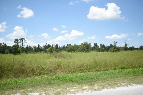 Land in Lakeland, Florida № 1841874 - photo 3