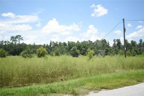 Land in Lakeland, Florida № 1841874 - photo 4