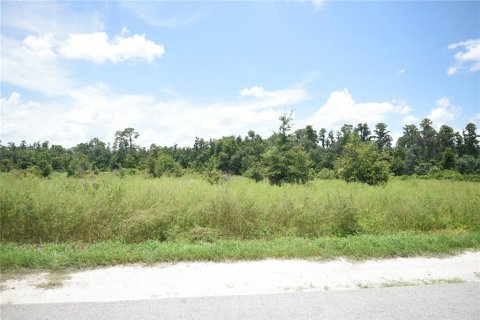 Land in Lakeland, Florida № 1841874 - photo 8