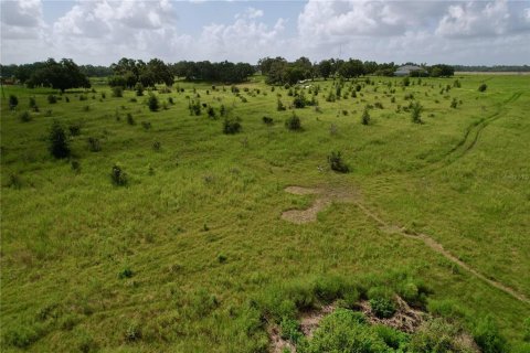 Land in Lakeland, Florida № 1841874 - photo 14
