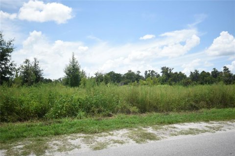 Land in Lakeland, Florida № 1841874 - photo 1