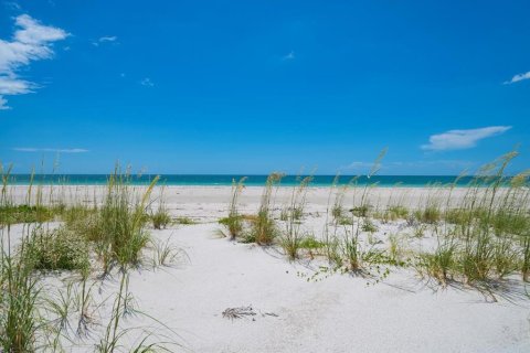 House in Clearwater, Florida 5 bedrooms, 503.62 sq.m. № 1812844 - photo 11