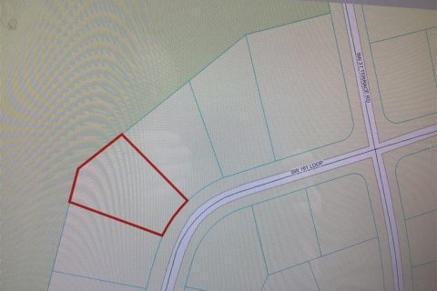 Land in Ocala, Florida № 1716804 - photo 5