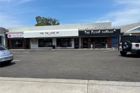 Commercial property in Belleair Bluffs, Florida 306.95 sq.m. № 481737 - photo 1