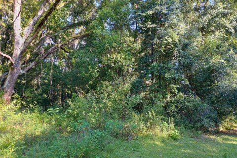 Land in Citrus Springs, Florida № 2160147 - photo 3