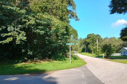 Land in Citrus Springs, Florida № 2160147 - photo 6