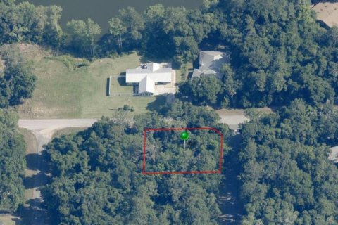 Land in Citrus Springs, Florida № 2160147 - photo 2