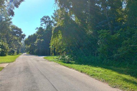 Land in Citrus Springs, Florida № 2160147 - photo 5