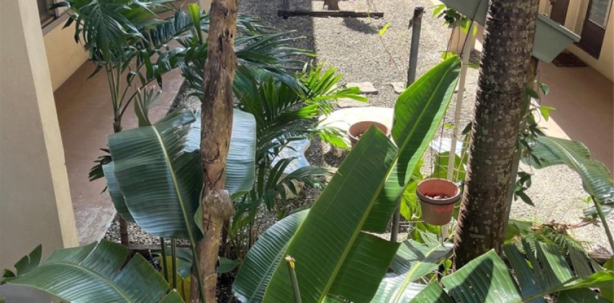 Condo in Dania Beach, Florida, 1 bedroom  № 1145795