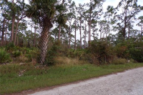 Land in Punta Gorda, Florida № 2205380 - photo 3
