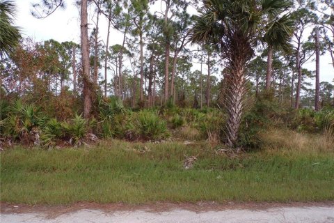 Land in Punta Gorda, Florida № 2205380 - photo 2