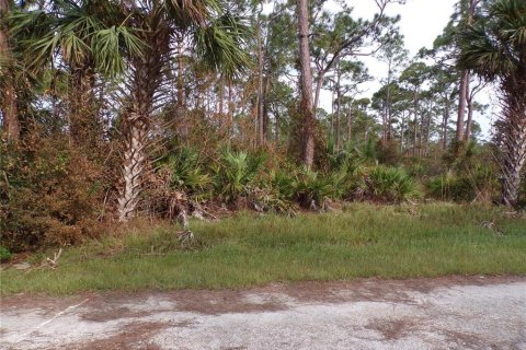 Land in Punta Gorda, Florida № 2205380 - photo 4