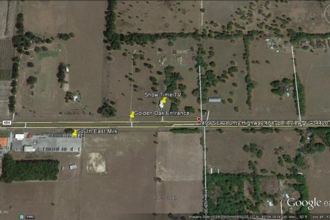 Land in Belleview, Florida № 1827083 - photo 2
