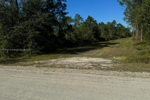 Land in Clewiston, Florida № 1691405 - photo 3