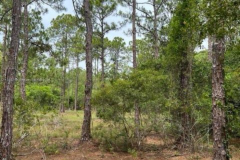 Land in Clewiston, Florida № 1691405 - photo 2