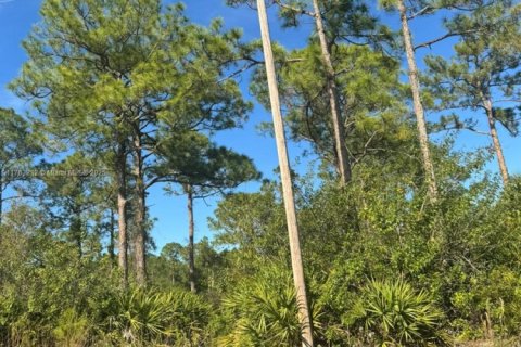 Land in Clewiston, Florida № 1691405 - photo 6