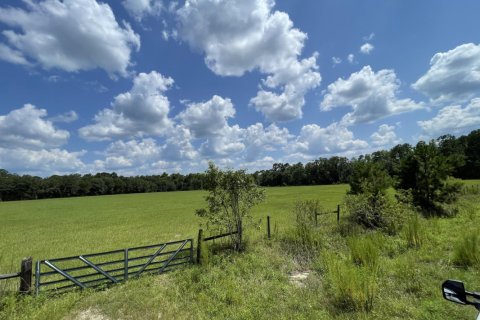Land in Middleburg, Florida № 769287 - photo 1