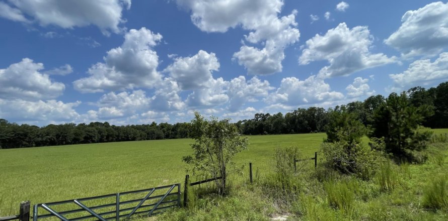 Land in Middleburg, Florida № 769287