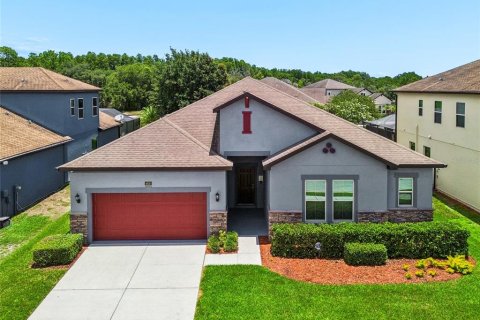 House in Wesley Chapel, Florida 4 bedrooms, 252.32 sq.m. № 2152257