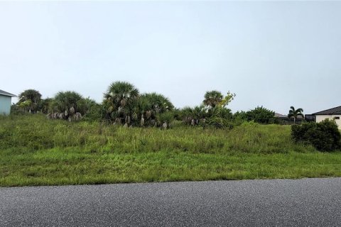 Land in Port Charlotte, Florida № 1334755 - photo 4