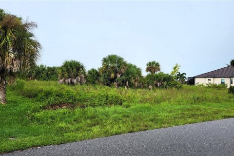 Land in Port Charlotte, Florida № 1334755 - photo 2