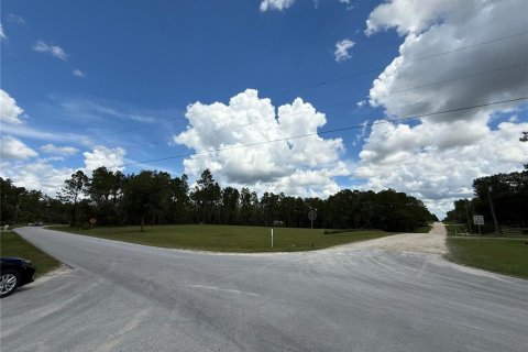 Land in Ocala, Florida № 2353302