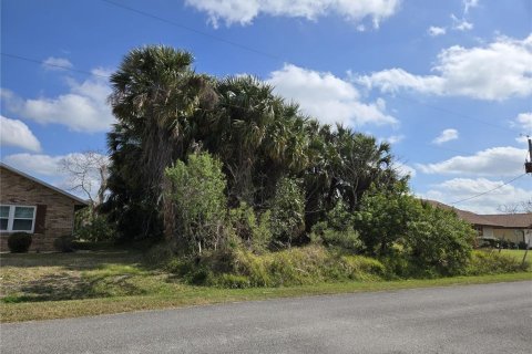 Terreno en venta en Palm Coast, Florida № 1723724 - foto 5
