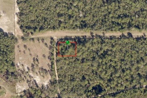 Land in De Leon Springs, Florida № 2158854 - photo 2
