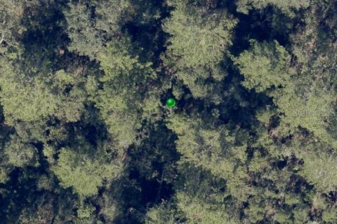 Land in De Leon Springs, Florida № 2158854 - photo 5