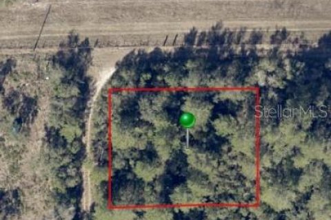 Land in De Leon Springs, Florida № 2158854 - photo 4