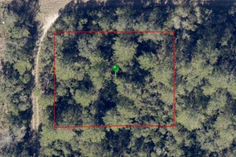 Land in De Leon Springs, Florida № 2158854 - photo 3