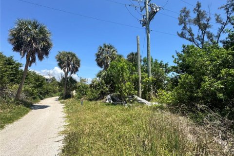 Land in Placida, Florida № 2166111 - photo 15