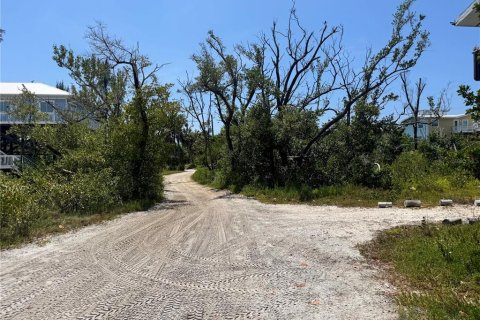 Land in Placida, Florida № 2166111 - photo 17