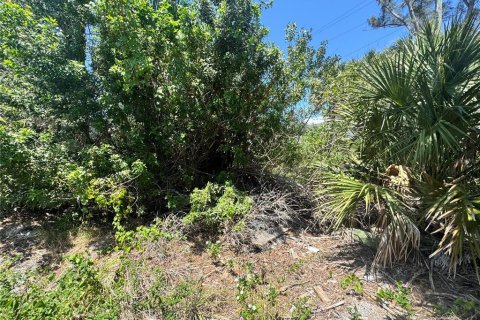 Land in Placida, Florida № 2166111 - photo 13