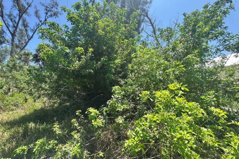 Land in Placida, Florida № 2166111 - photo 12