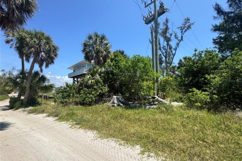 Land in Placida, Florida № 2166111 - photo 5