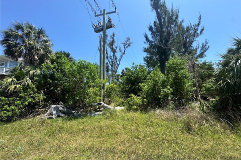 Land in Placida, Florida № 2166111 - photo 7